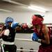 Cleveland boxer Francis Stewart hits Soul City boxer Tyler Evans in the face during the third bout on Friday, July 19. Daniel Brenner I AnnArbor.com